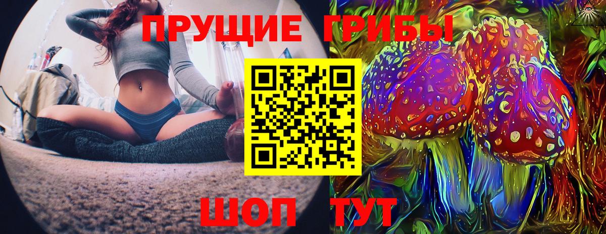 Галлюциногенные грибы GOLDEN TEACHER Тосно
