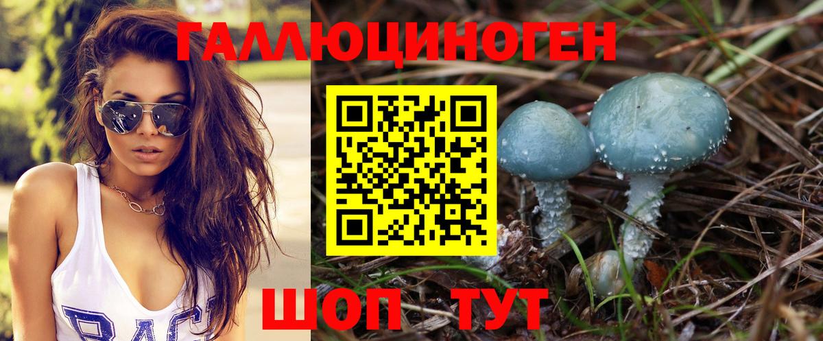 Тосно  Псилоцибиновые грибы MAGIC MUSHROOMS  Вход с VPN  Галлюциногенные грибы MAGIC MUSHROOMS 